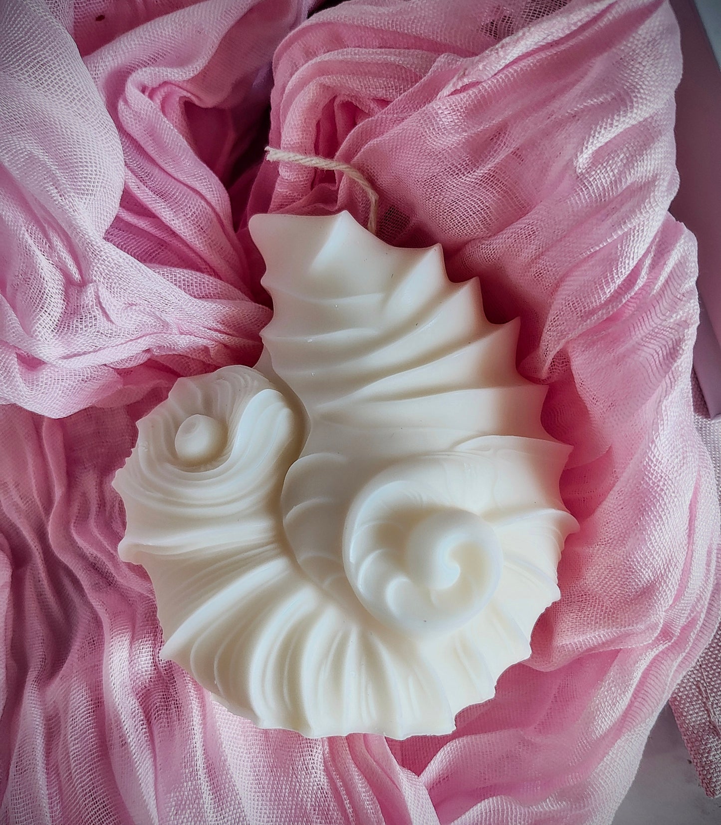 Sea Shell Candle